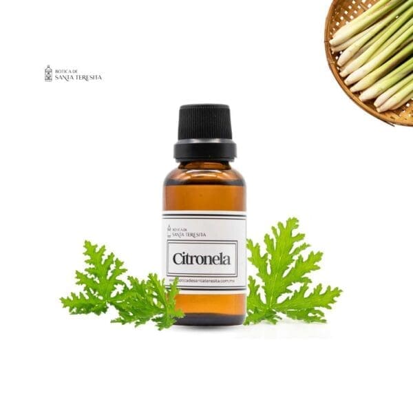 Citronela2.jpg