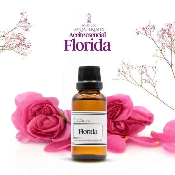 Florida1.jpg