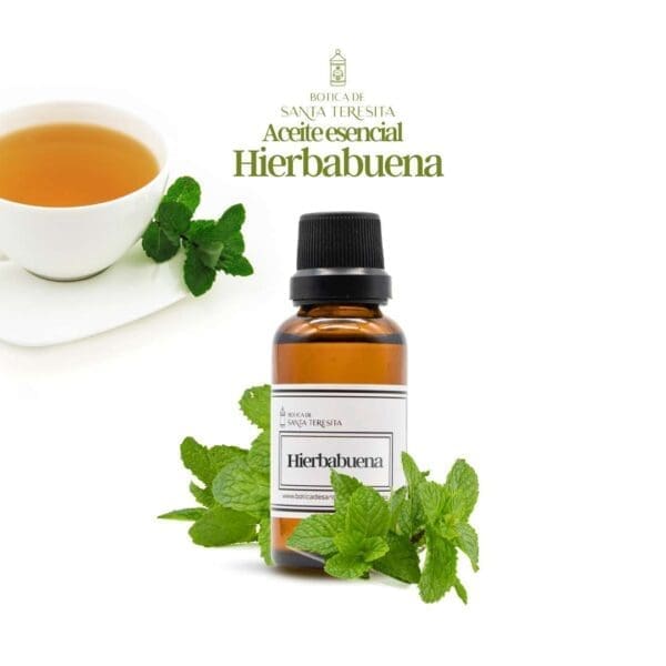 Hierbabuena1.jpg