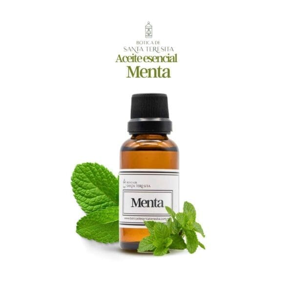 Menta1.jpg