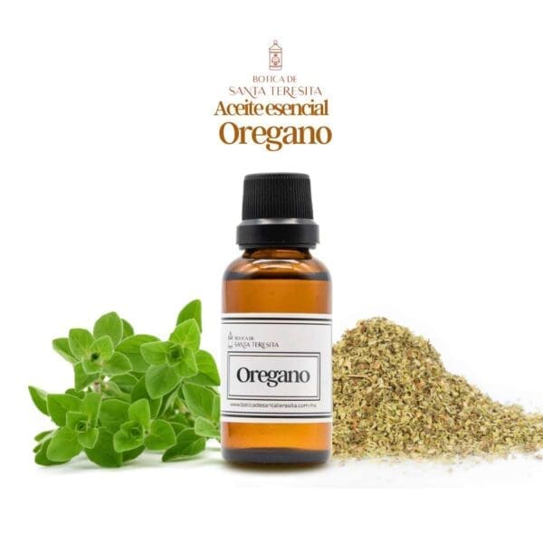 Oregano1.jpg