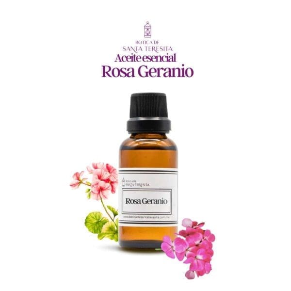 Rosa-geranio1.jpg