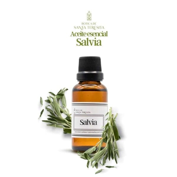Salvia1.jpg