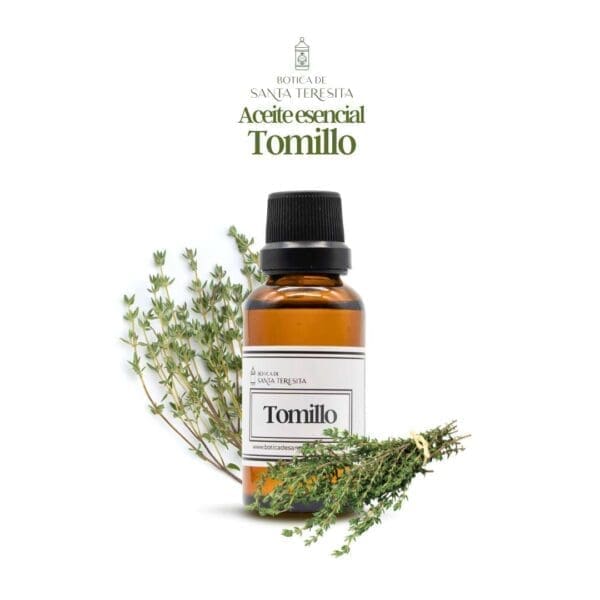 Tomillo-1.jpg