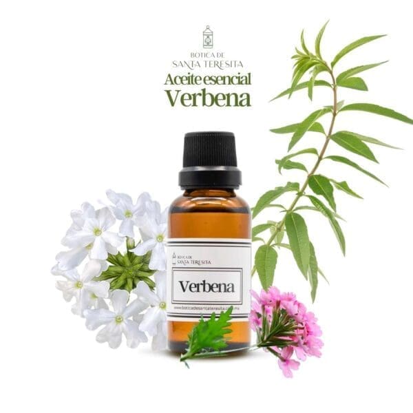 Verbena1.jpg Verbena1.jpg